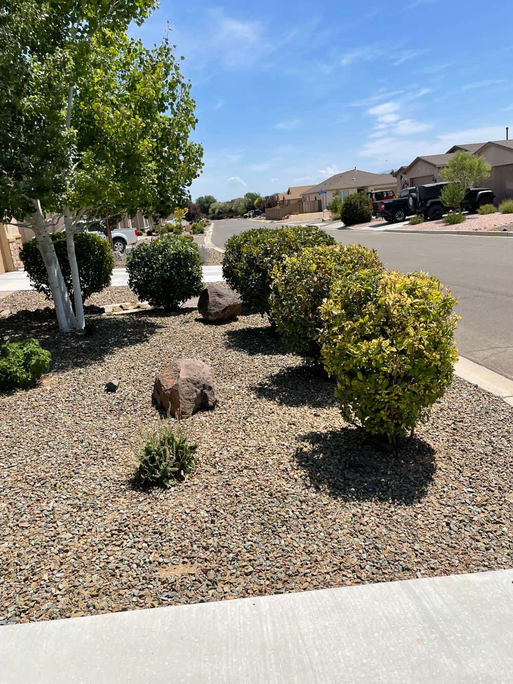 Hero image for Elevate Landscaping LLC